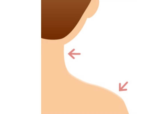首・肩のイラスト